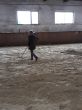 IMG-20200301-WA0014.jpg