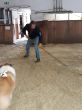 IMG-20200301-WA0012.jpg